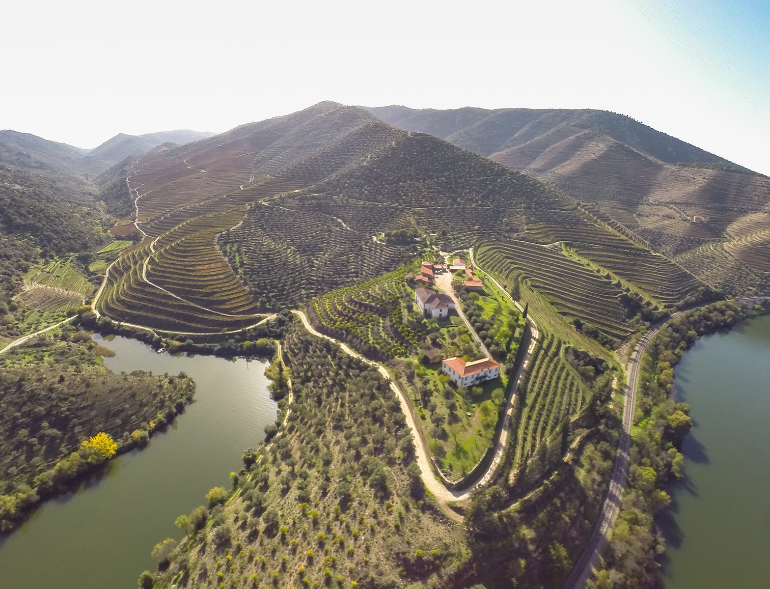 THE MAGIC OF ALTITUDE: LEARN ABOUT ITS IMPACT ON WINES – UVA Wine Shop